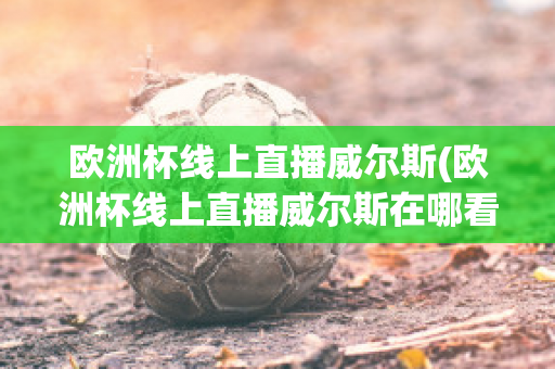 欧洲杯线上直播威尔斯(欧洲杯线上直播威尔斯在哪看)