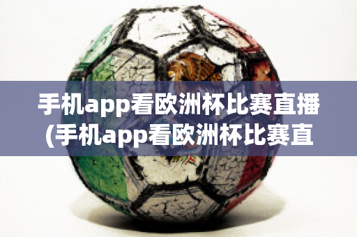 手机app看欧洲杯比赛直播(手机app看欧洲杯比赛直播怎么看)