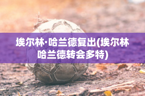 埃尔林·哈兰德复出(埃尔林哈兰德转会多特)