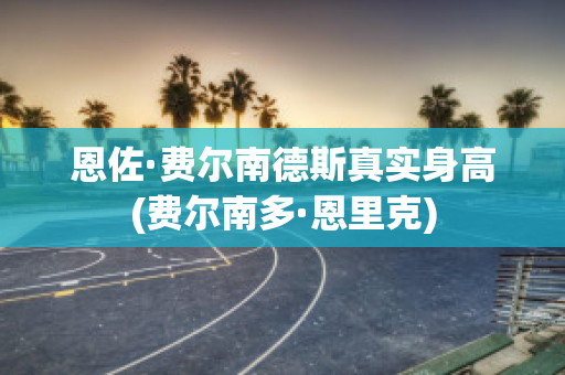 恩佐·费尔南德斯真实身高(费尔南多·恩里克)