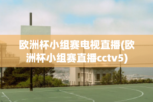 欧洲杯小组赛电视直播(欧洲杯小组赛直播cctv5)