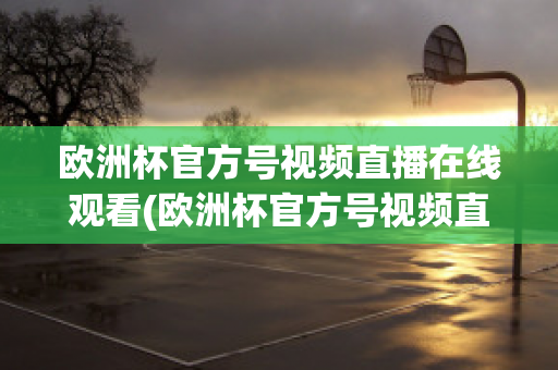 欧洲杯官方号视频直播在线观看(欧洲杯官方号视频直播在线观看下载)