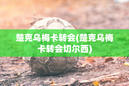 楚克乌梅卡转会(楚克乌梅卡转会切尔西)