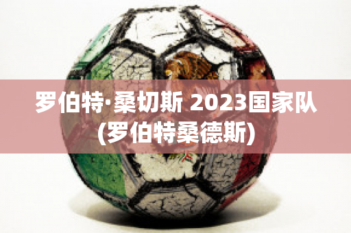 罗伯特·桑切斯 2023国家队(罗伯特桑德斯)