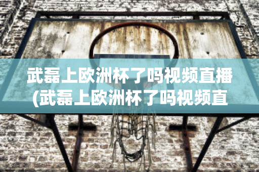 武磊上欧洲杯了吗视频直播(武磊上欧洲杯了吗视频直播在线观看)