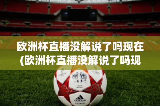 欧洲杯直播没解说了吗现在(欧洲杯直播没解说了吗现在还能看吗)