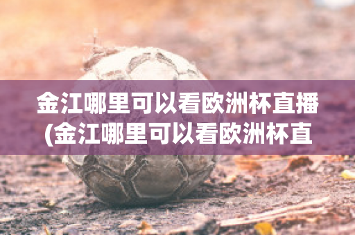 金江哪里可以看欧洲杯直播(金江哪里可以看欧洲杯直播回放)