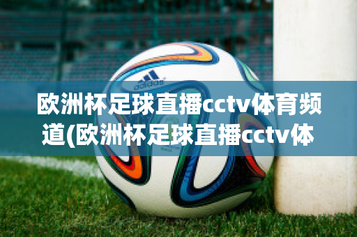 欧洲杯足球直播cctv体育频道(欧洲杯足球直播cctv体育频道回放)