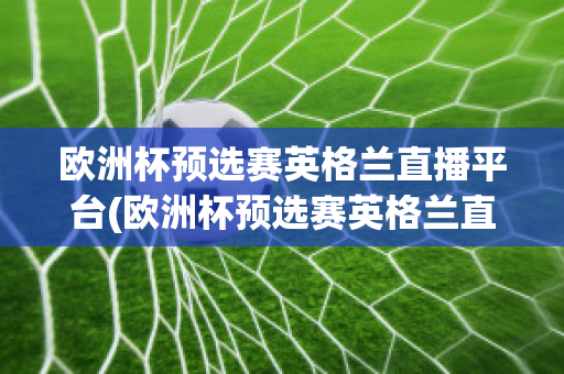 欧洲杯预选赛英格兰直播平台(欧洲杯预选赛英格兰直播平台官网)