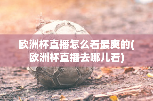 欧洲杯直播怎么看最爽的(欧洲杯直播去哪儿看)