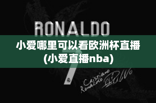 小爱哪里可以看欧洲杯直播(小爱直播nba)