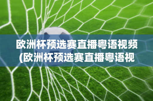 欧洲杯预选赛直播粤语视频(欧洲杯预选赛直播粤语视频下载)