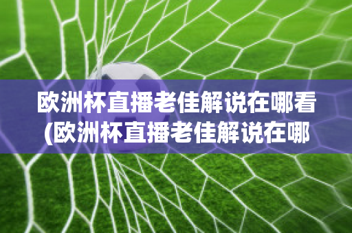 欧洲杯直播老佳解说在哪看(欧洲杯直播老佳解说在哪看回放)