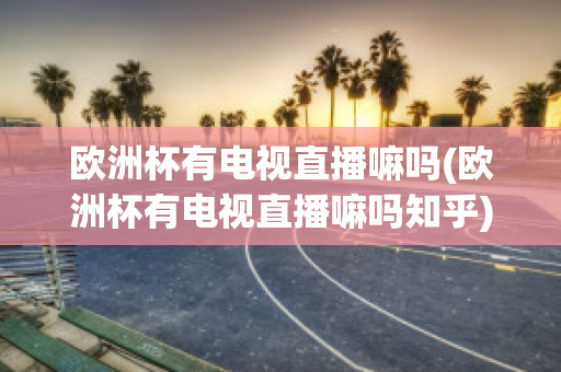 欧洲杯有电视直播嘛吗(欧洲杯有电视直播嘛吗知乎)