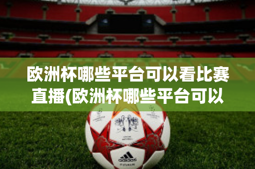 欧洲杯哪些平台可以看比赛直播(欧洲杯哪些平台可以看比赛直播回放)