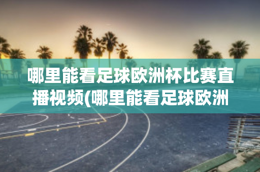 哪里能看足球欧洲杯比赛直播视频(哪里能看足球欧洲杯比赛直播视频软件)