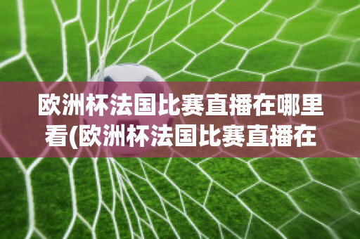 欧洲杯法国比赛直播在哪里看(欧洲杯法国比赛直播在哪里看回放)