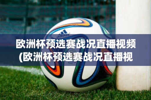 欧洲杯预选赛战况直播视频(欧洲杯预选赛战况直播视频在线观看)