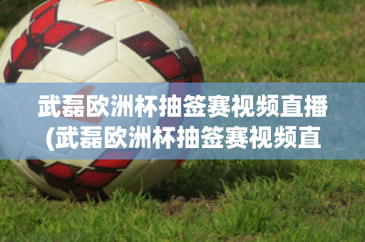 武磊欧洲杯抽签赛视频直播(武磊欧洲杯抽签赛视频直播在线观看)