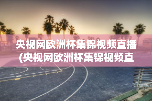 央视网欧洲杯集锦视频直播(央视网欧洲杯集锦视频直播在线观看)