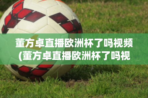 董方卓直播欧洲杯了吗视频(董方卓直播欧洲杯了吗视频在线观看)