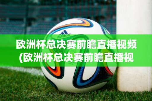 欧洲杯总决赛前瞻直播视频(欧洲杯总决赛前瞻直播视频在线观看)