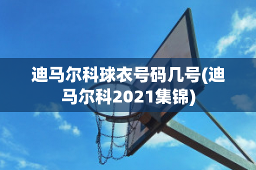 迪马尔科球衣号码几号(迪马尔科2021集锦)