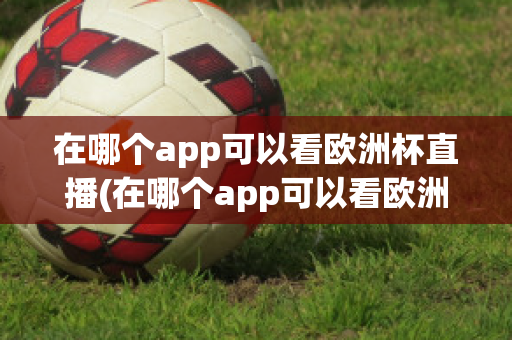 在哪个app可以看欧洲杯直播(在哪个app可以看欧洲杯直播视频)