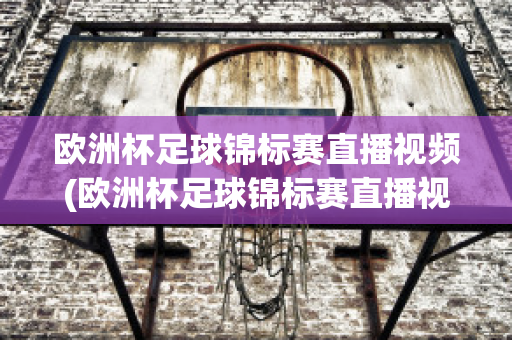 欧洲杯足球锦标赛直播视频(欧洲杯足球锦标赛直播视频在线观看)