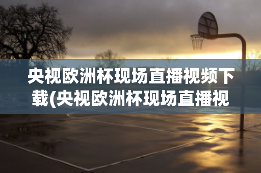 央视欧洲杯现场直播视频下载(央视欧洲杯现场直播视频下载网站)