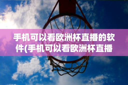 手机可以看欧洲杯直播的软件(手机可以看欧洲杯直播的软件叫什么)