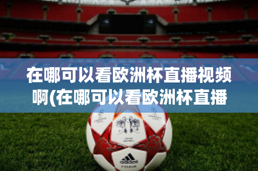 在哪可以看欧洲杯直播视频啊(在哪可以看欧洲杯直播视频啊英文)