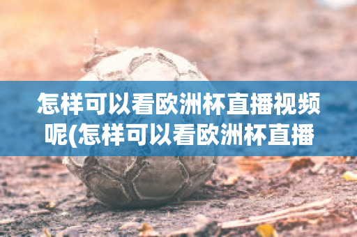 怎样可以看欧洲杯直播视频呢(怎样可以看欧洲杯直播视频呢知乎)