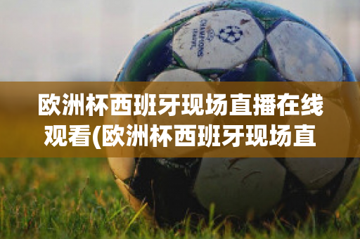 欧洲杯西班牙现场直播在线观看(欧洲杯西班牙现场直播在线观看高清)