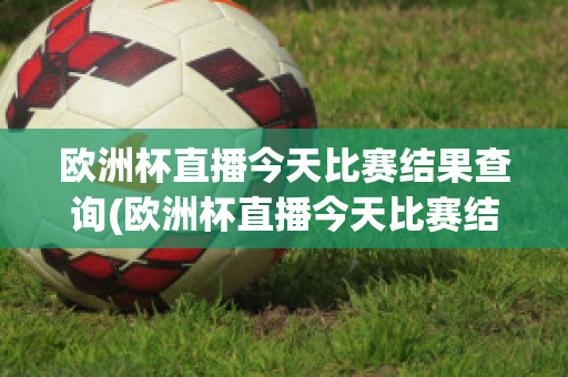 欧洲杯直播今天比赛结果查询(欧洲杯直播今天比赛结果查询官网)