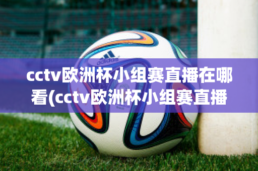 cctv欧洲杯小组赛直播在哪看(cctv欧洲杯小组赛直播在哪看回放)