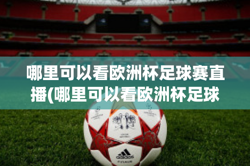 哪里可以看欧洲杯足球赛直播(哪里可以看欧洲杯足球赛直播视频)