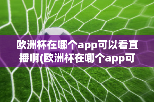 欧洲杯在哪个app可以看直播啊(欧洲杯在哪个app可以看直播啊英文)