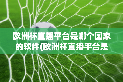 欧洲杯直播平台是哪个国家的软件(欧洲杯直播平台是哪个国家的软件下载)