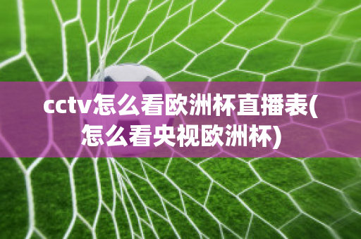 cctv怎么看欧洲杯直播表(怎么看央视欧洲杯)