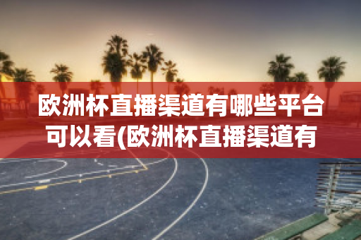 欧洲杯直播渠道有哪些平台可以看(欧洲杯直播渠道有哪些平台可以看到)