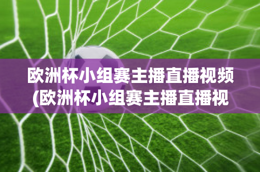 欧洲杯小组赛主播直播视频(欧洲杯小组赛主播直播视频在线观看)