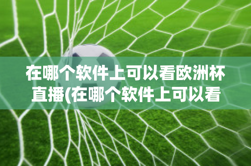 在哪个软件上可以看欧洲杯直播(在哪个软件上可以看欧洲杯直播视频)