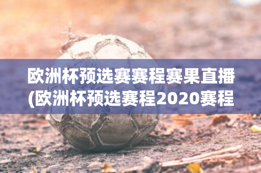 欧洲杯预选赛赛程赛果直播(欧洲杯预选赛程2020赛程表)