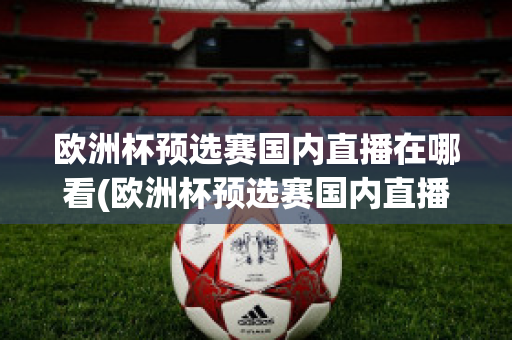 欧洲杯预选赛国内直播在哪看(欧洲杯预选赛国内直播在哪看回放)