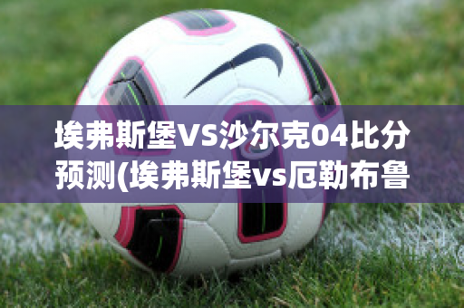 埃弗斯堡VS沙尔克04比分预测(埃弗斯堡vs厄勒布鲁比分)