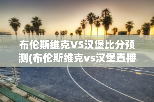 布伦斯维克VS汉堡比分预测(布伦斯维克vs汉堡直播)