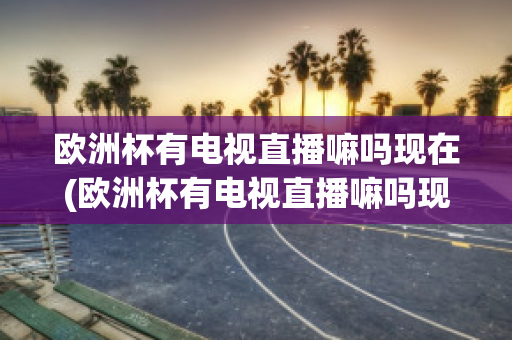 欧洲杯有电视直播嘛吗现在(欧洲杯有电视直播嘛吗现在几点开始)