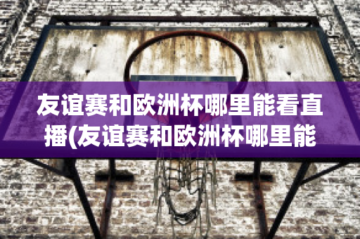 友谊赛和欧洲杯哪里能看直播(友谊赛和欧洲杯哪里能看直播回放)