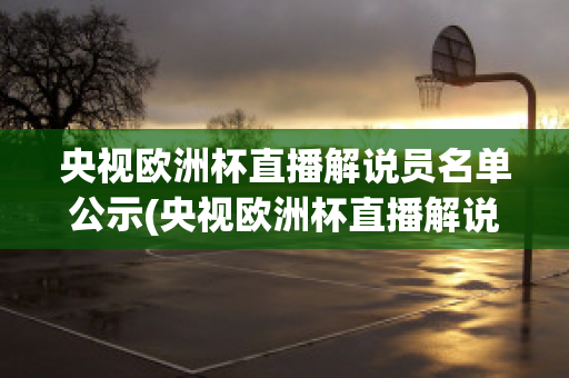 央视欧洲杯直播解说员名单公示(央视欧洲杯直播解说员名单公示表)